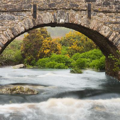 “Water under the bridge”可不是“桥下的水”哦！