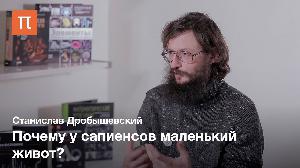 Освоение огня Освоение огня