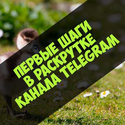 Первые шаги в раскрутке Telegram канала