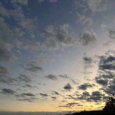 ネットワークビジネスとその真逆に居る、あなた