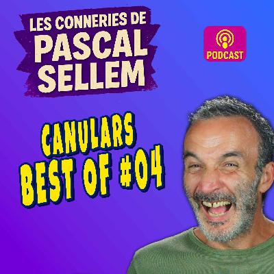 BEST OF #04 : 30 minutes de rigolade ★ Canular Pascal Sellem ★ BEST OF #04 : 30 minutes de rigolade ★ Canular Pascal Sellem ★