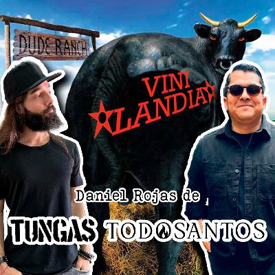VINILANDIA VOL.51 - ROJAS de TUNGAS y TODOSANTOS a través del DUDE RANCH de los BLINK 182 -