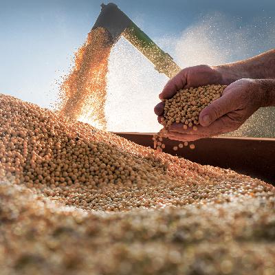 Minnesota Soybean Farmers are feeling uneasy with more tariff talk and no orders from China.