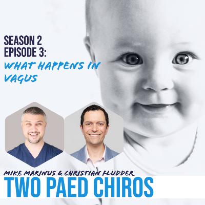 014 - What happens in Vagus