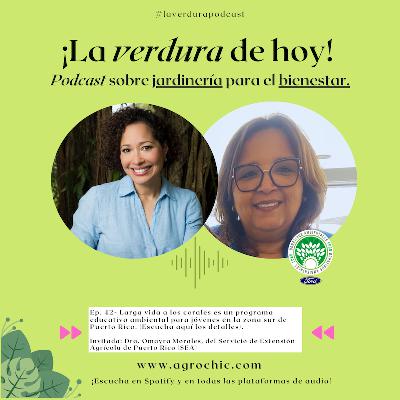 E.42 - Larga vida a los corales es un programa educativo para jóvenes en la zona sur de Puerto Rico