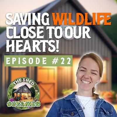 #22 - Protecting Our Wildlife Close To Home | Janelle [TasWild]