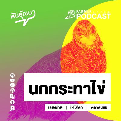 นกกระทาไข่ 【พันธุ์ณนา】 นกกระทาไข่ 【พันธุ์ณนา】