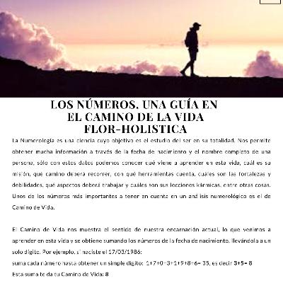 Los números, una guía en el camino de tu vida - Flor Holística