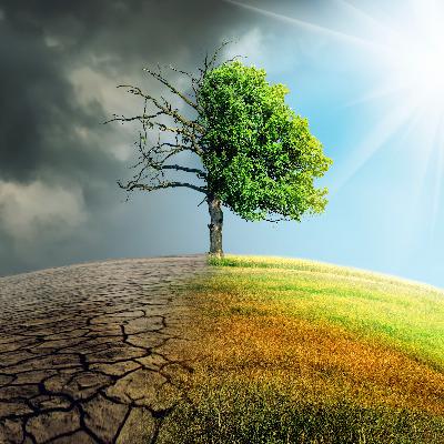 Hard Times and Hope