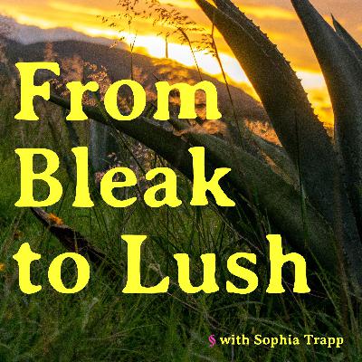 From Bleak to Lush