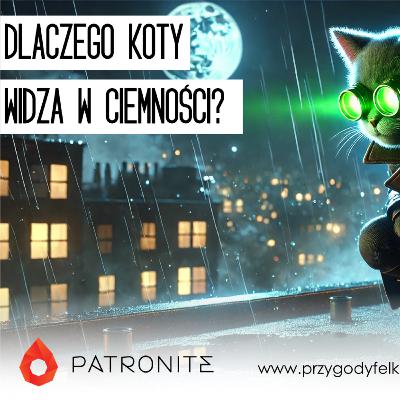 🔬 SNF #005. Dlaczego koty widzą w ciemności? | Słodka Nauka Felka Wafelka 🔬 SNF #005. Dlaczego koty widzą w ciemności? | Słodka Nauka Felka Wafelka