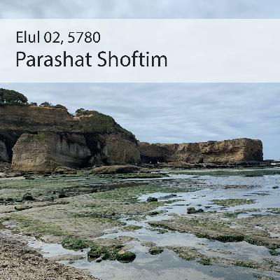 AE: Torah for the Earth - Shoftim AE: Torah for the Earth - Shoftim