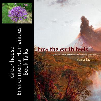 Dana Luciano – How the Earth Feels
