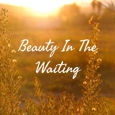 One Minute of Encouragment!