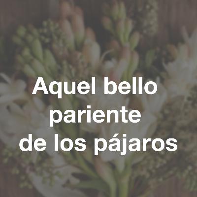 César Calvo - Aquel bello pariente de los pájaros César Calvo - Aquel bello pariente de los pájaros