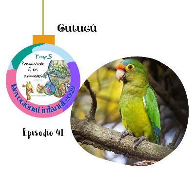 Episodio 42: Cutucú