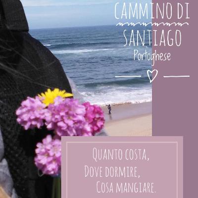 Cammino di Santiago Episodio 2 :: Quanto costa, Dove dormire, Cosa mangiare