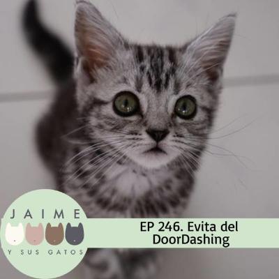 Ep 246 evita. Door dashing de tu gato