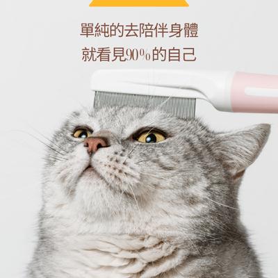 早晨Priming 高能量冥想(火呼吸)｜21 天靜心陪跑 Day 4