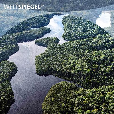 COP30: Ist der Amazonas-Regenwald noch zu retten? COP30: Ist der Amazonas-Regenwald noch zu retten?