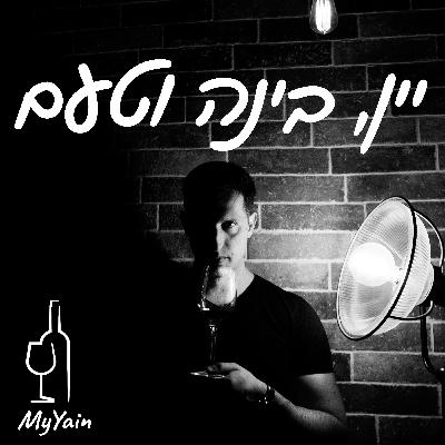 פרק 18 - סוגי תסיסות