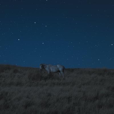 Siddhartha y Kathanka