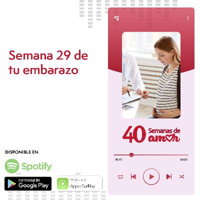 40 Semanas de Amor - Semana 29 de Embarazo
