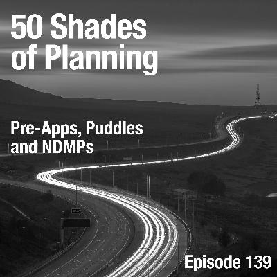 Pre-Apps, Puddles and NDMPs Pre-Apps, Puddles and NDMPs