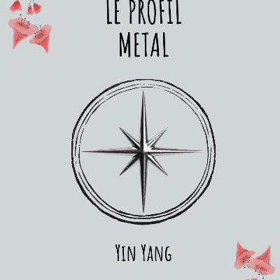 Profil Métal