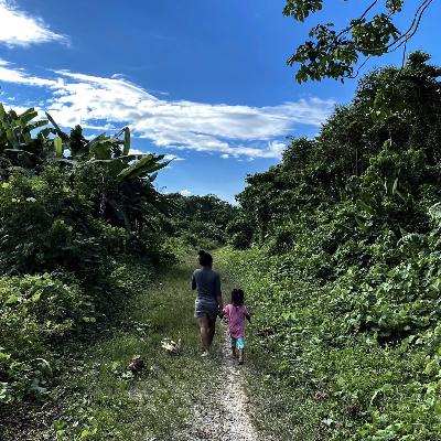 Live theater tells the story of how Mongabay detected narco airstrips in the Amazon Live theater tells the story of how Mongabay detected narco airstrips in the Amazon