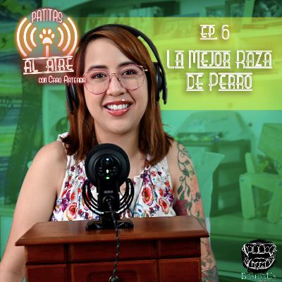 E.6 - La Mejor Raza de Perro. E.6 - La Mejor Raza de Perro.