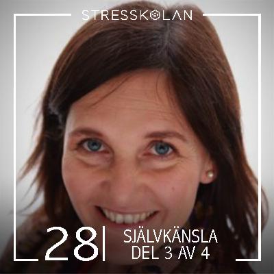 28. Program Självkänsla 3 av 4 - Leg. Psykolog Lotta Scholander