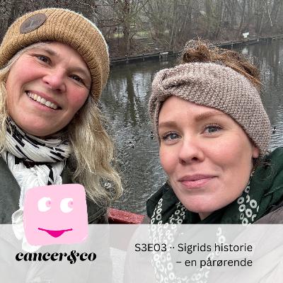 S3E03 ·· En pårørende ·· Sigrids historie