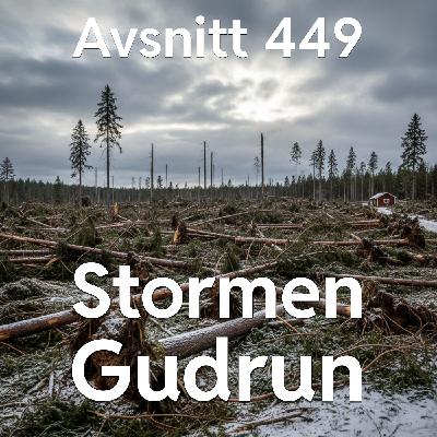 449. Stormen Gudrun