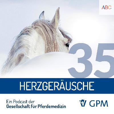 Das Herz - Teil 1: Herzgeräusche