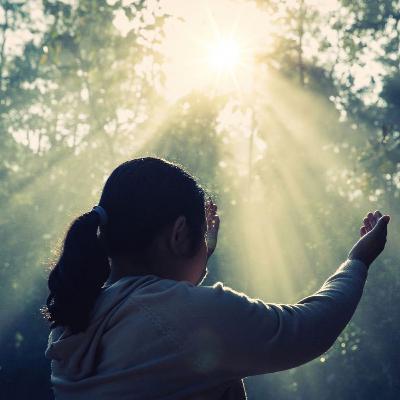 Vivre dans la Divine Volonté 2025-11-25 Mon agonie, c'est l'amour