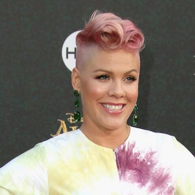 Episode 318 : The History Of World Musicians "P!nk"