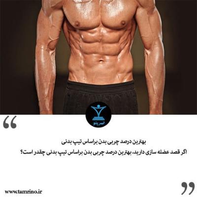 بهترین درصد چربی بدن براساس تیپ بدنی (هوش مصنوعی)