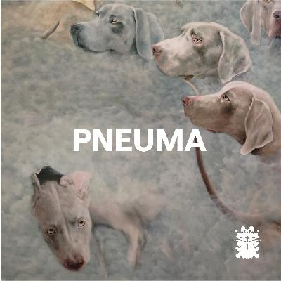 Animal(ités) - Pneuma