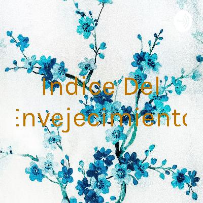Indice del envejecimiento