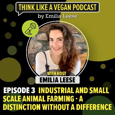 Ep. 19 Industrial and small scale animal farming - a distinction without a difference