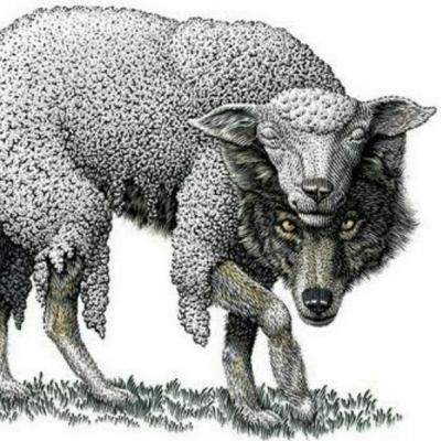 The Wolf in Sheep's Clothing The Wolf in Sheep's Clothing