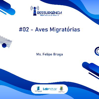 Aves Migratórias