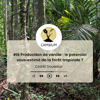 #18 - Production de vanille : le potentiel sous-estimé de la forêt tropicale ?