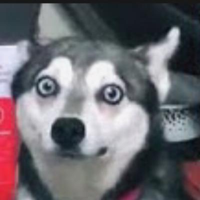 Hate and love uWu 69