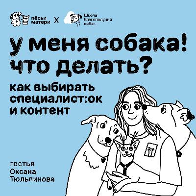 У меня собака! Что делать? Как выбирать специалист:ок и контент