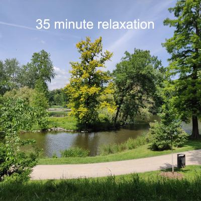 The Relaxing Sound of Running in the Park