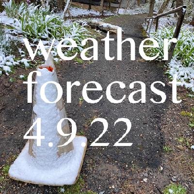 Weather Forecast 4.9.22