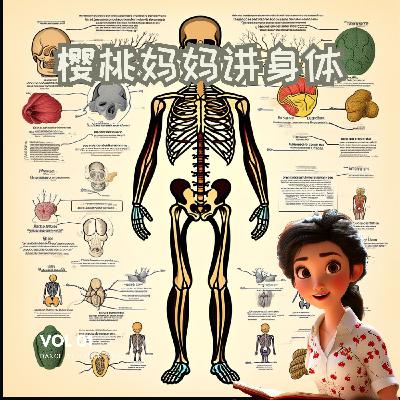 人体中最坚硬的组织是什么？