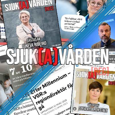 #23 - Reflektioner från intervjuer, Milleniumavsked och ett yrkes status.